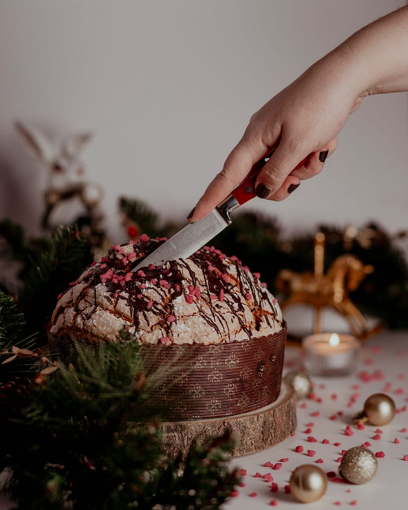 Panettone artigianale al cioccolato fondente e fragoline di bosco
